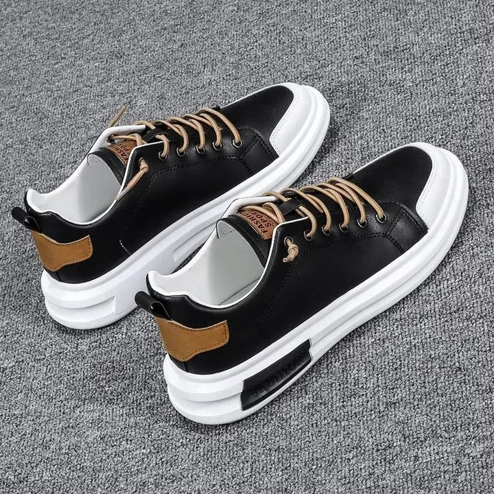 gid://shopify/MediaImage/24692163969118