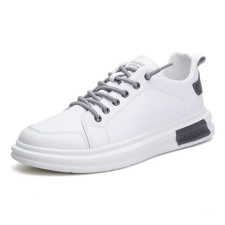 gid://shopify/MediaImage/24692164034654